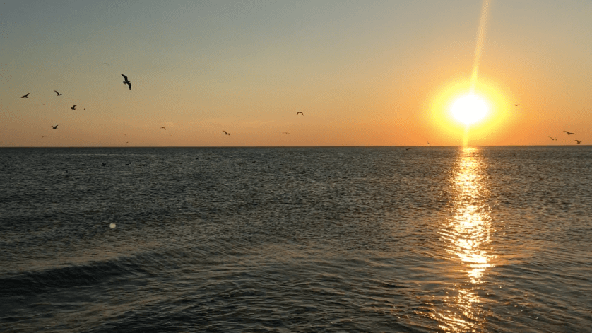 Bildschirmfoto 2018-07-30 um 12.14.28